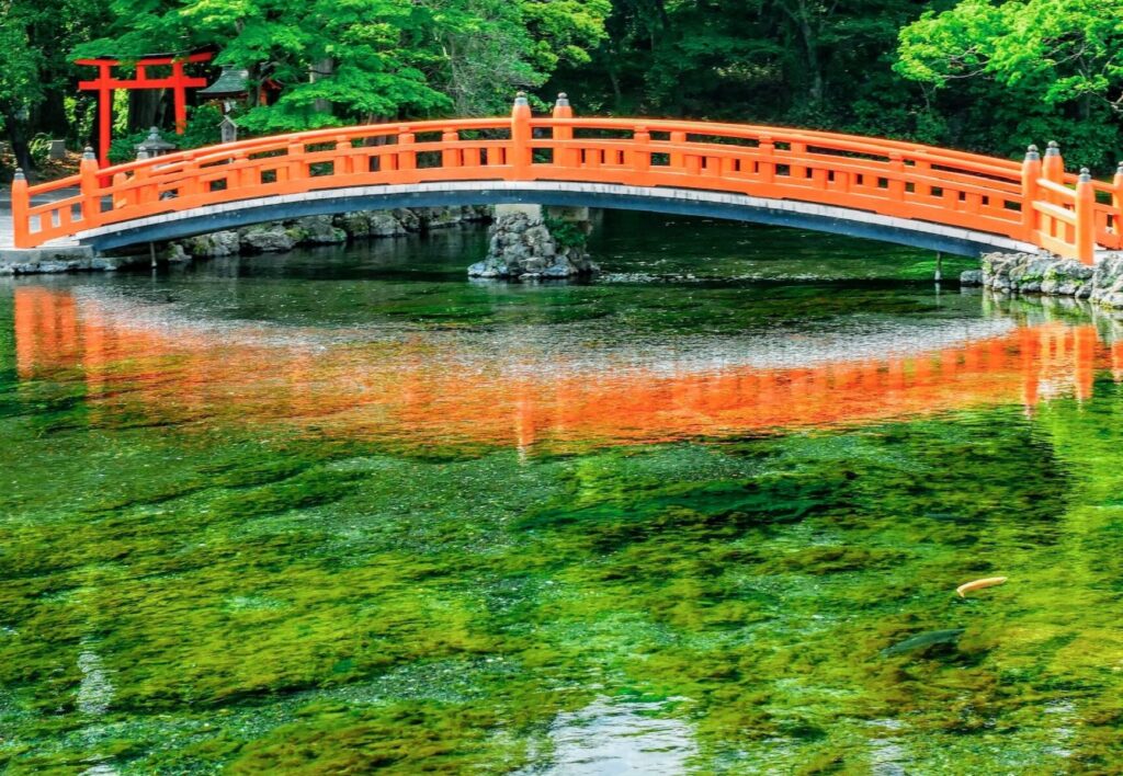 浅間大社湧玉池