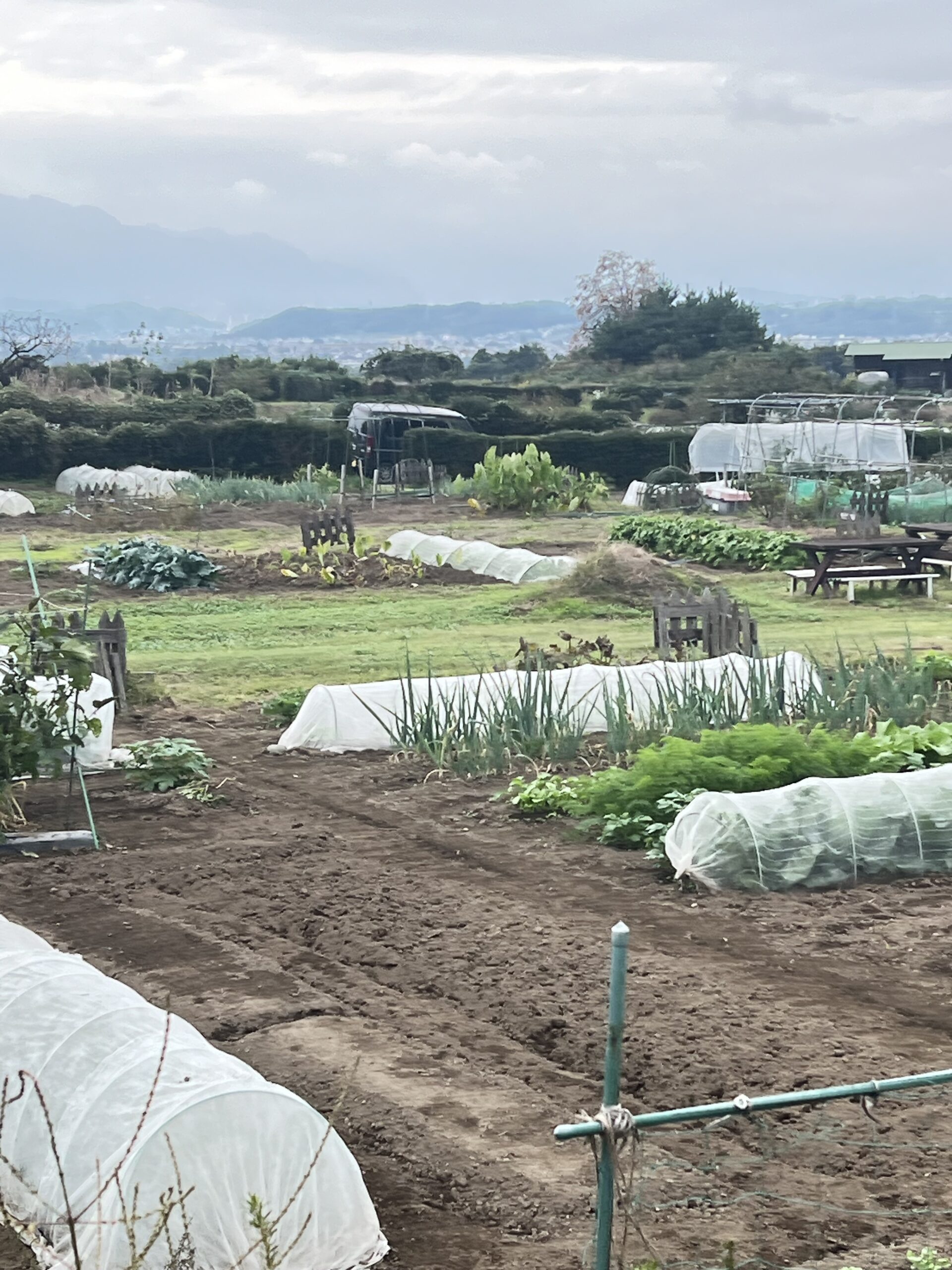 甘楽町ふるさと農園