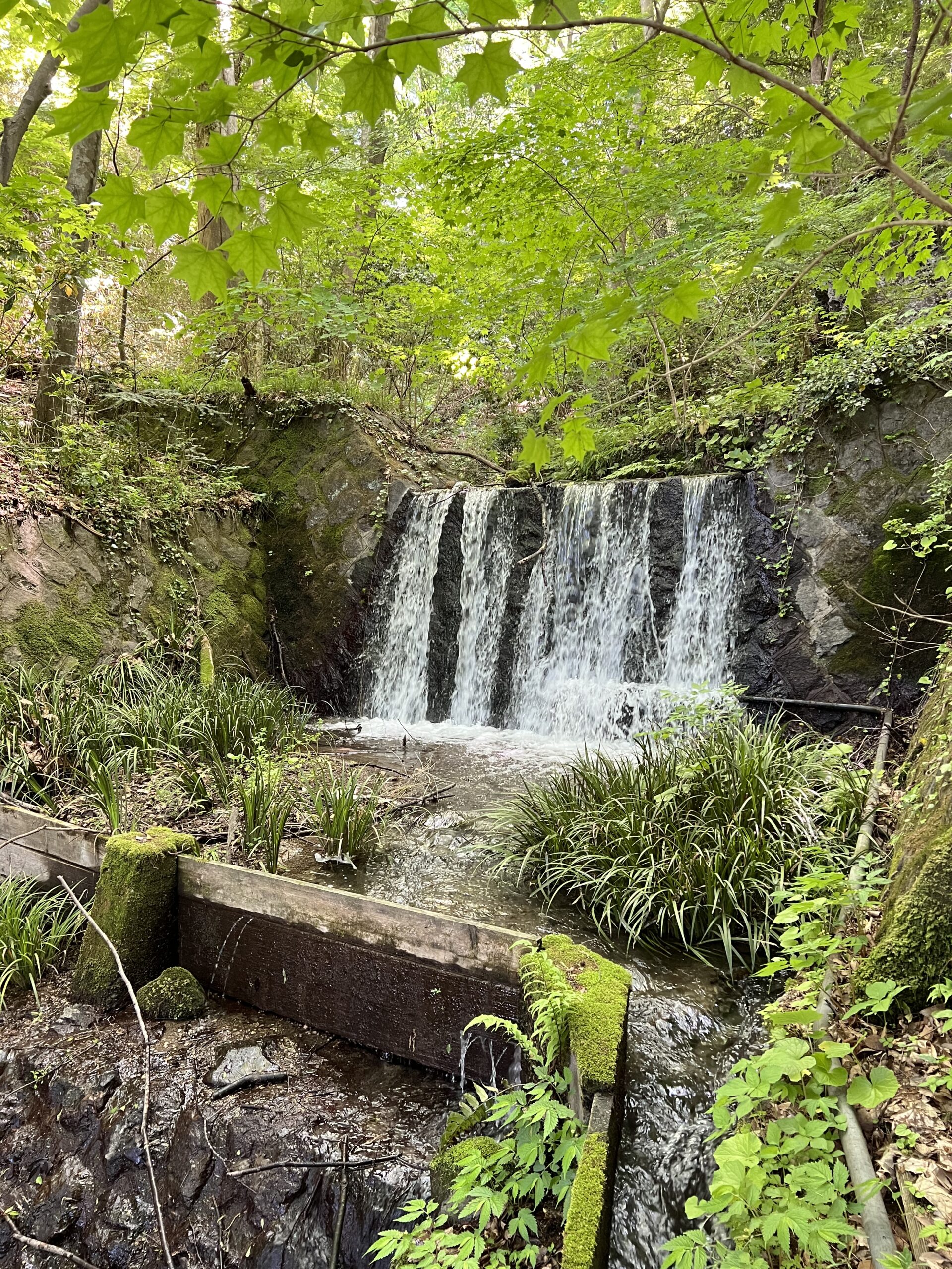 箱島湧水