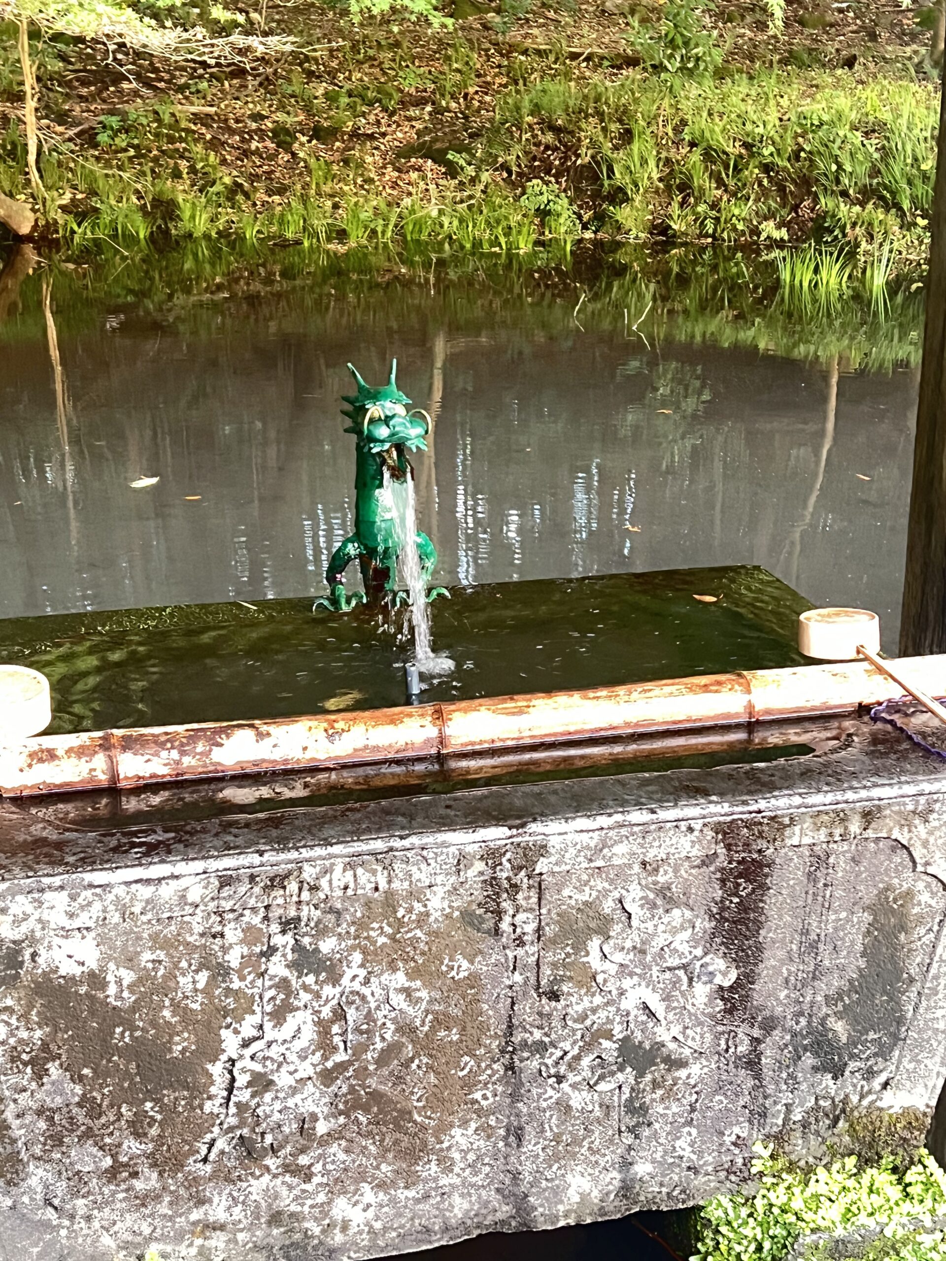 赤城神社の湧水