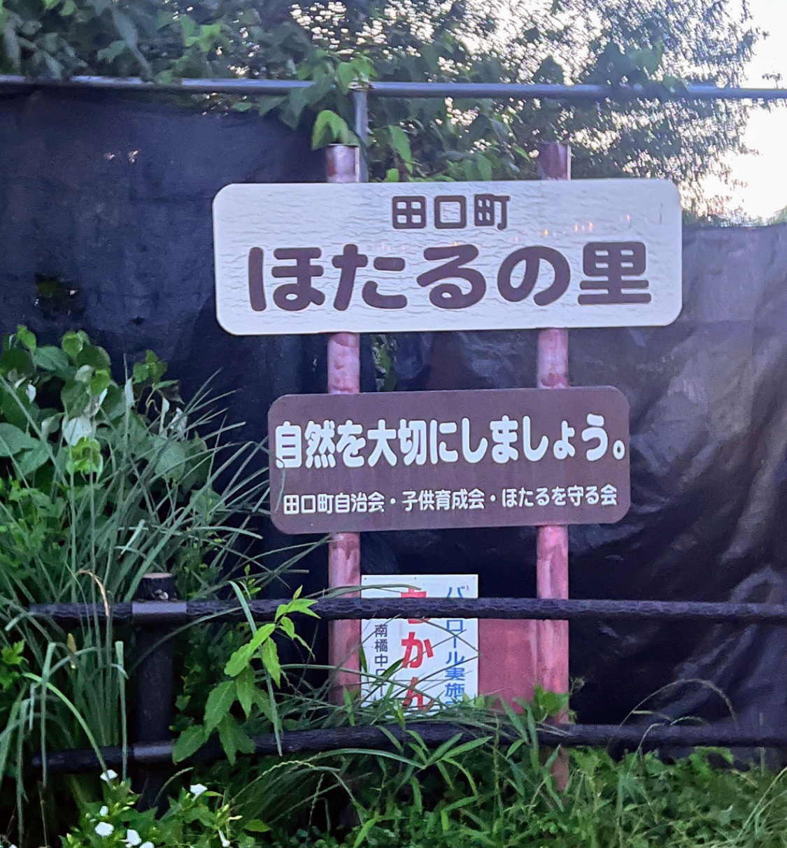 ほたるの里