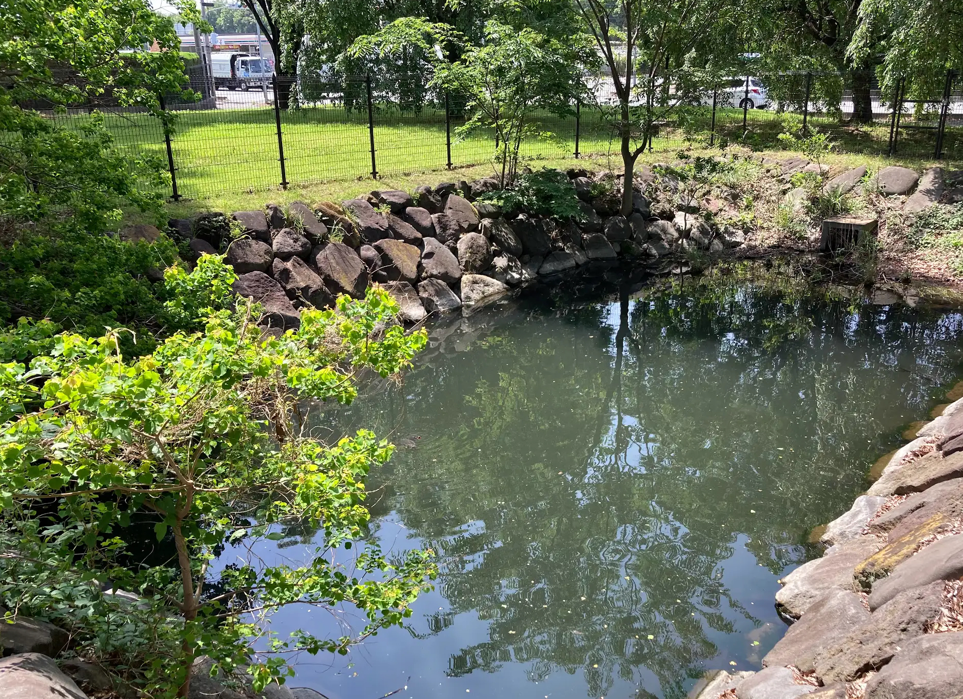 湧水散歩第二弾