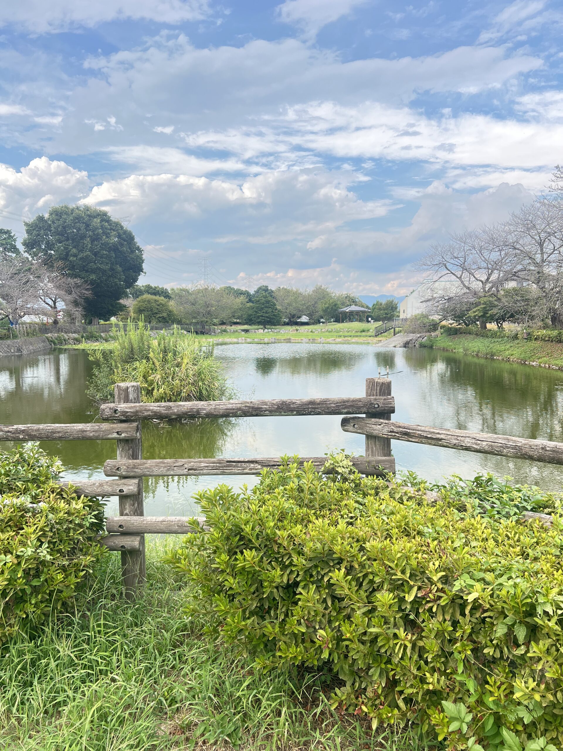 湧水散歩第六弾・妙参寺沼