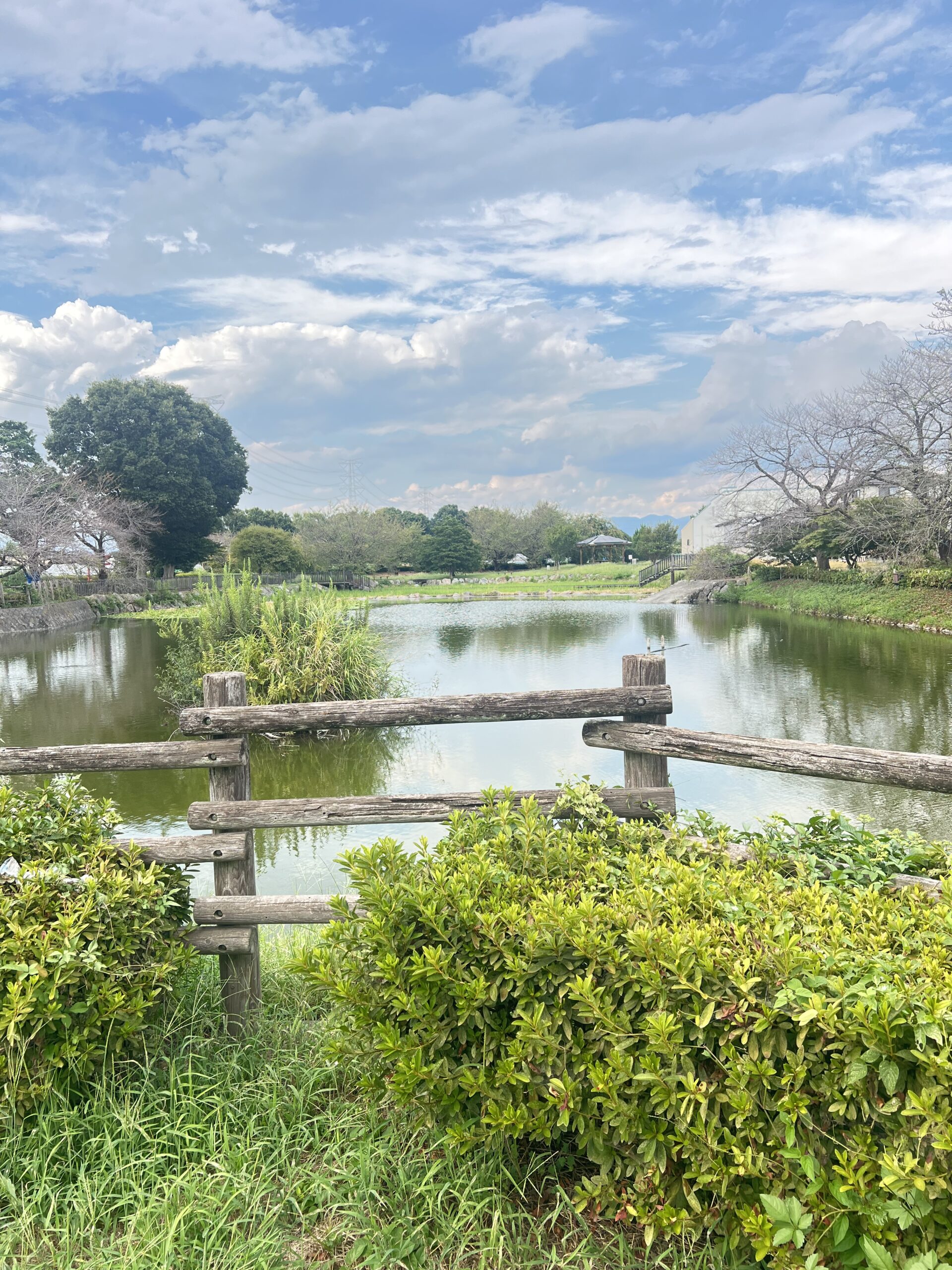 湧水散歩第四弾・矢田神沼
