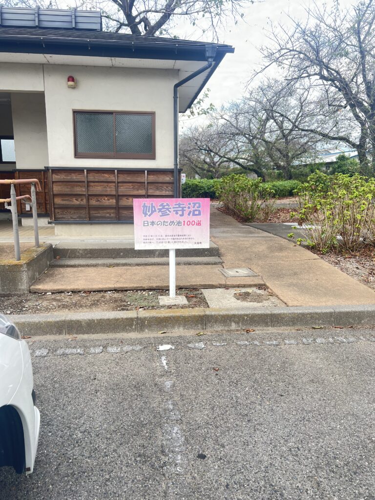 公園だけあって駐車場は整備されている。