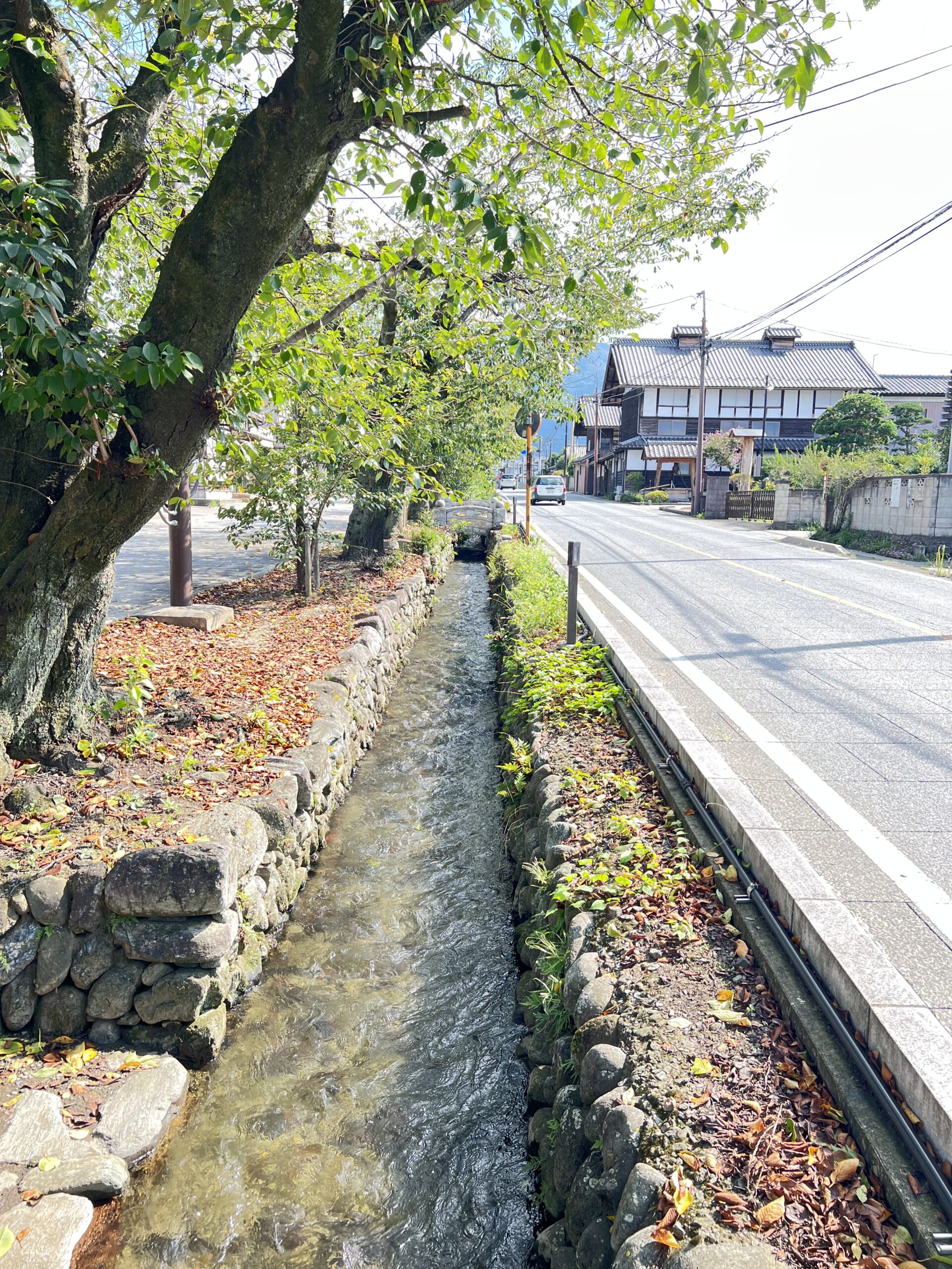 湧水散歩第八(七)弾・雄川堰