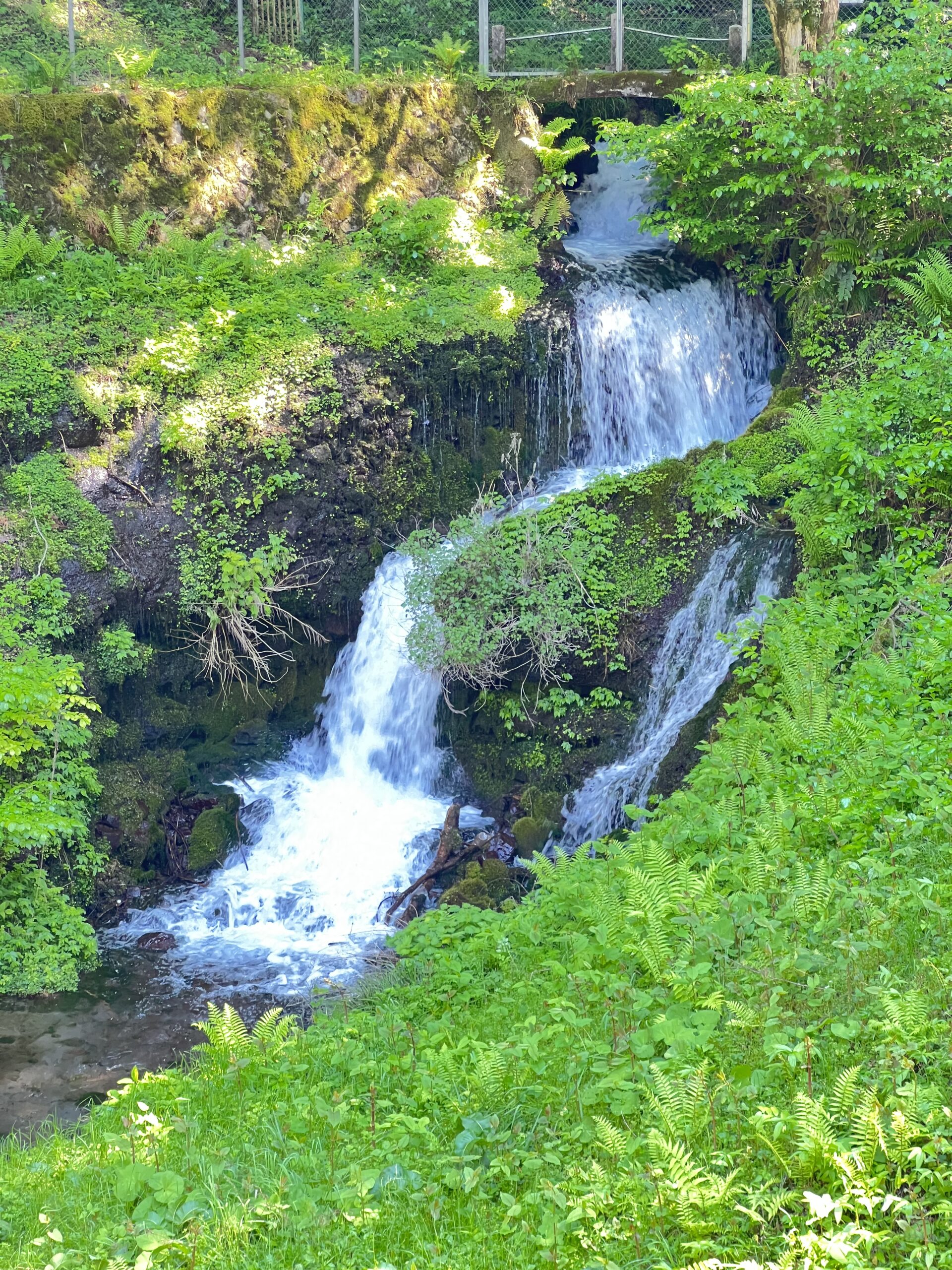 湧水散歩第九段-“箱島湧水”