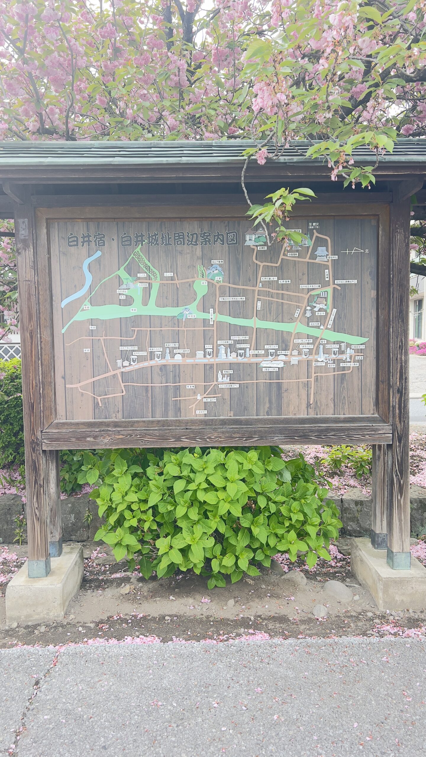 湧水散歩・第十二弾/上州白井宿(堰)